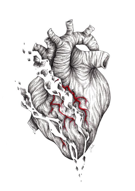 #anatomical #heart #ink #illustration #rotring #rapidograph #draw #sketch #sketching #art #artofinstagram #artwork #creative #blackwork #lineart #pencil #artist Heart Art Drawing Dark, Anatomical Heart Drawing, Anatomical Heart Art, Handmade Illustration, Heart Sketch, Heart Drawing, Ink Illustration, Anatomical Heart, Black Ink Tattoos