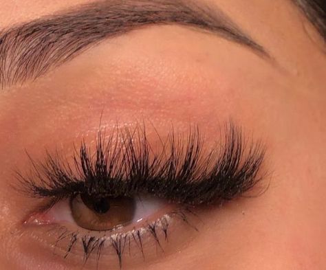 Makeup Eyebrows, Perfect Eyelashes, Pretty Lashes, Natural Eyelash Extensions, Eyelash Extentions, Smink Inspiration, Beauty Make-up, Lashes Beauty, Make Up Looks