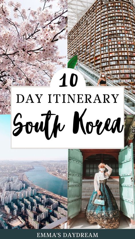 Osan South Korea, South Korea Holiday, South Korea Itinerary Two Weeks, Busan Bucket List, South Korea Itinerary One Week, Visiting South Korea, Seoul Itinerary 1 Week, South Korea Things To Do, What To Do In South Korea