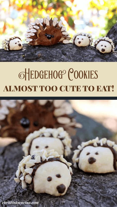 Hedgehog Cookies...Almost Too Cute to Eat! Hedgehog Food Ideas, Hedgehog Dessert, Hedgehog Cupcakes, Hedgehog Cupcake, Hedgehog Cookies, Hedgehog Food, Owl Cookies, Food Artists, Cookies Baking