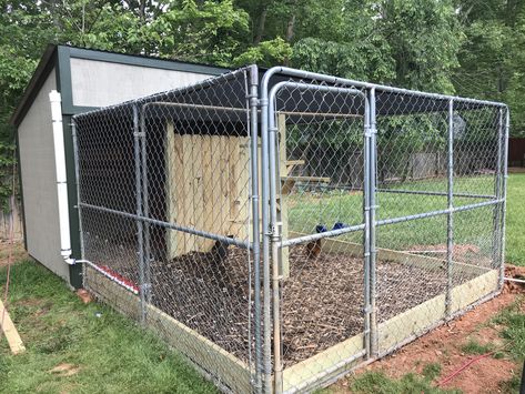 Chicken Coop Using Dog Kennel, Dog Kennel To Chicken Coop, Chicken Coop With Dog Kennel Run, Dog Pin Chicken Coop, Dog Kennel Into Chicken Coop, Chicken Coop With Dog Kennel, Dog Kennel Chicken Run, Chicken Coop Out Of Dog Kennel, Dog Pen Chicken Coop