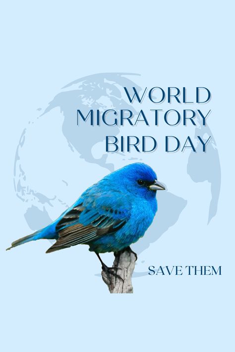 World Migratory Bird Day ! Bird Day, Migratory Birds, Business Logo Design, Business Logo, Logo Design, Birds, ? Logo