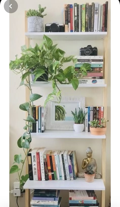 Best Bookshelves, Diy Bookshelf Ideas, Pretty Bookshelves, Leaning Bookshelf, Diy Bookshelves, Bookshelf Inspo, Bookshelves In Bedroom, Diy Bookshelf, Bookshelf Inspiration