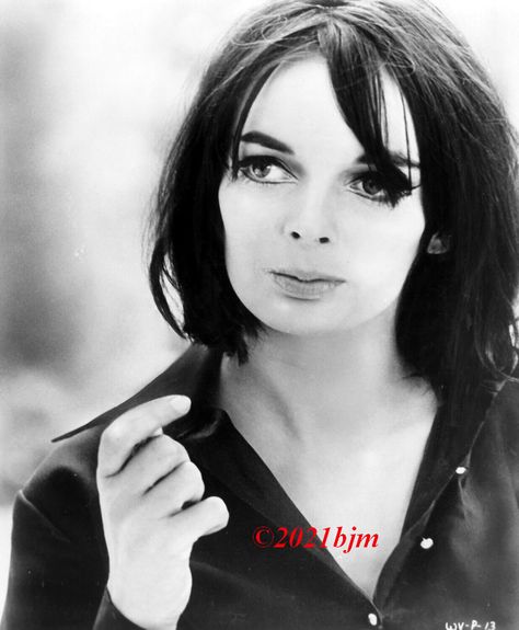 Barbara Steele, Horror Movie Posters, Vintage Hollywood, Horror Films, Horror Movies, Hollywood, Screen, Film, Movie Posters