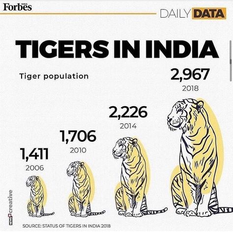 Tiger Extinction Awareness on Instagram: “Due to intense conservation efforts in the past 12 years, India’s tiger population has doubled, and now sits at around 3000! While this is…” Project Tiger, Tiger Conservation, Save The Tiger, Cat Species, Wild Tiger, No Waste, Save Earth, The Tiger, Bad News