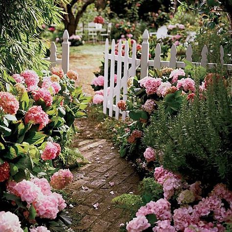 Garden Gate Design, Country Garden Decor, Shabby Chic Garden, Flowers And Greenery, Hydrangea Garden, Flower Garden Design, White Picket Fence, Farmhouse Garden, Beautiful Flowers Garden