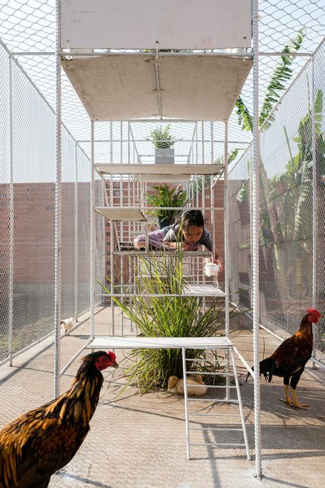 Gallery of Chicken House / Tropical Space - 4 Scaffolding Design, Urban Chicken, Tactical Urbanism, Smart Farm, Module Design, Urban Chickens, Chicken Houses, Interactive Walls, Urban Agriculture