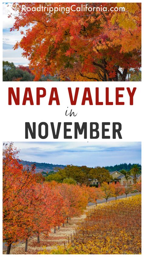 Discover the best things to do on a visit to Napa Valley in November! From fall colors to fall flavors, experience the best of California’s premier wine country getaway in November. Plus where to stay, where to eat, and what to wear! Napa Valley In November, Napa In Fall, Fall In Napa Valley, Napa In November, What To Wear In Napa Valley Fall, Things To Do In Napa Valley, Napa Valley Itinerary, Things To Do In Napa, Country Getaway