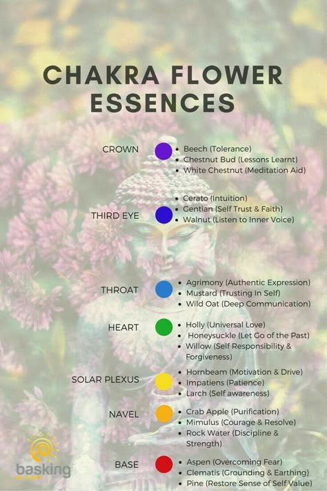 Astro Herbalism, Cleansing Chakras, Flower Medicine, Bach Remedies, Flower Healing, Chakra Points, Healing Flowers, Chakra Chart, Bach Flowers