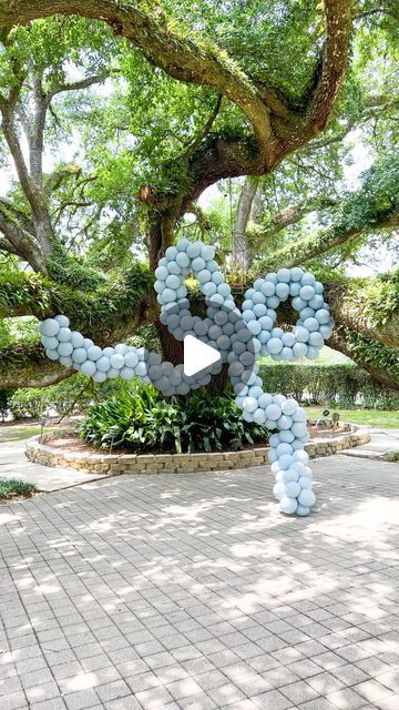 Ashley Cash, Party shop & balloons in Louisiana on Instagram: "Want to learn how we make our balloon bow?! 👀  There are many, many ways to do a balloon bow, but here is our method!  Some details: 👉 I’m using 11” latex (the color is @tuftexballoons fog) sized down to 8” 👉 No, I do not have a regulator pump. We don’t do enough classic decor for me to justify the cost of the pump. Plus, I don’t enjoy doing classic design 🤷‍♀️ So this sizer works just fine for me. Honestly, I can eye ball it pretty well by now, but I do use the sizer for larger projects so I can zone out 👉 This bow is 9’ wide by 9’ long. So the 4 pieces we made are each 9’ long, and use 36 duos  •Step 1: pull your balloons. I like to pull a section at a time •Step 2: inflate duos and tie neck to neck. Don’t tie them too t Link O Loons Balloons, Bow Balloon Arch, Bow Balloons, Balloon Bow, Volleyball Bows, Bow Garland, Eye Ball, Tulle Bows, Many Many