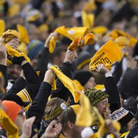 Steelers Terrible Towel, Terrible Towel, City Underground, Heinz Field, Baltimore Colts, Louis Vuitton Supreme, Afc Championship, Vikings Fan, Flag Day