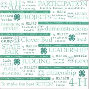 Great idea for 4h scrapbook 4 H Quotes, Circle Scrapbook, Bruce Lee (quotes), 4 H Clover, Club Quote, 4 H Club, Bill Gates Quotes, H Words, Albert Einstein Quotes