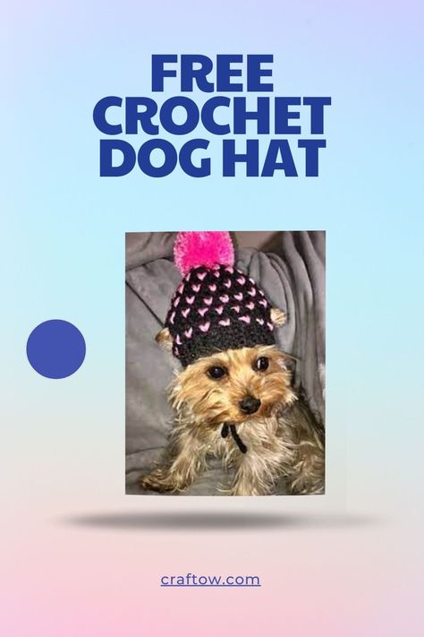 Free Crochet Dog Hat Easy Crochet Dog Hat, Crochet Hat For Small Dog Free Pattern, Crochet Dog Hat Free Pattern Small Breeds, Small Dog Hat Crochet Pattern, Crochet Dog Beanie Free Pattern, Crochet Dog Hats Free Pattern, Crochet Pet Hats Free Pattern, Crochet Hat For Dog, Crochet Dog Hat Pattern