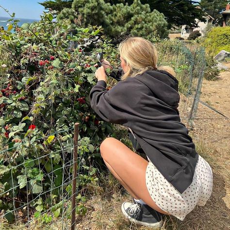 Daisy Keech Aesthetic, Summer Converse Outfit, Converse Outfit Aesthetic, Summer Converse, Daisy Keech, Converse Outfit, Cozy Season, Future Outfit, Beach Poses