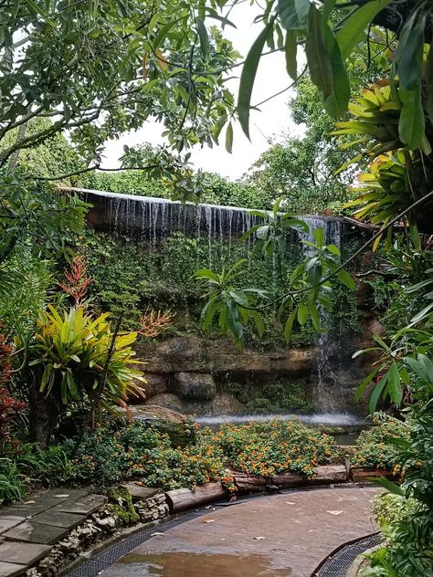 Tropical Garden Water Feature, Natural Waterfalls, Garden Water Feature, Tropical Backyard, Gothic Garden, Backyard Water Feature, Waterfalls Backyard, Pond Design, Water Walls