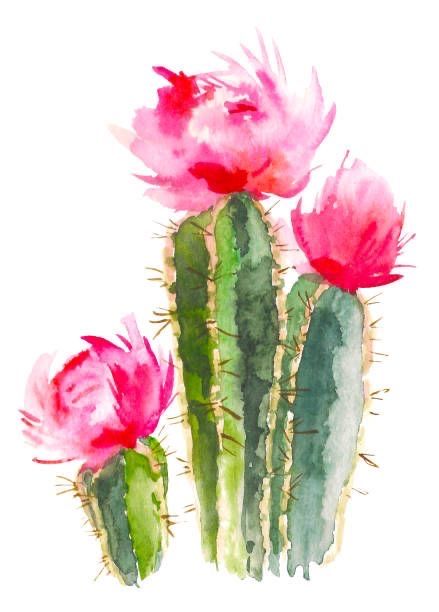 Cactus Background, Cactus Backgrounds, Cactus Paintings, Cactus Illustration, Succulent Wall Art, Wall Art Botanical, Nature Wall Decor, Art Watercolor Painting, Succulent Wall