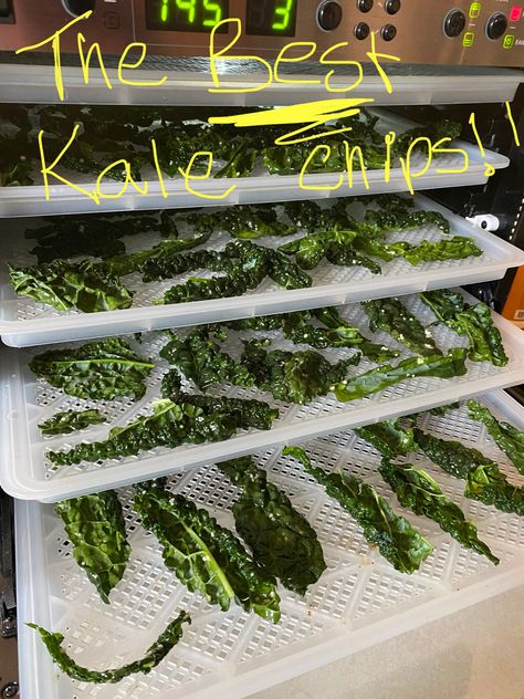 Kale Chips Recipe, Dehydrated Kale, Dehydrating Kale In Dehydrator, Kale Chips Dehydrator Recipes, Kale Chips Dehydrator, Kale Snacks, Dehydrated Kale Chips Recipe, Dehydrator Kale Chips, Dehydrated Kale Chips