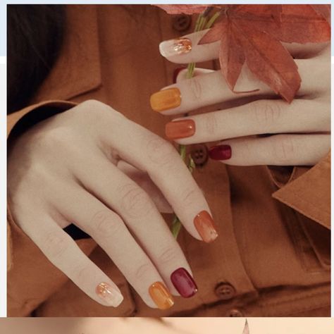 French Nails Shimmer, Falling Maple Leaves, Red Orange Nails, Autumn Manicure, Fun Manicure, Orange Nail Designs, Pink Manicure, Radiant Red, Basic Nails