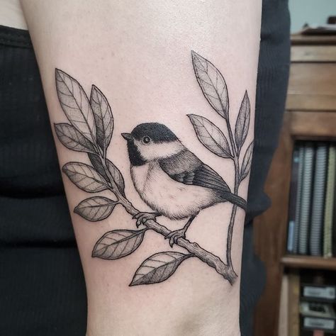 Chickadee Tattoo, Maine Tattoo, Baby Tattoo Designs, Botanical Tattoo, Bird Tattoo, Baby Tattoos, Sleeve Tattoos For Women, November 8, Half Sleeve Tattoo