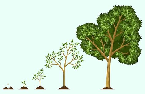 Seed To Tree Illustration, Tree Growth Illustration, Big Tree Drawing, Steps Illustration, Tree Emoji, Daycare Design, Tree Growth, 100 Logo, Tree Stickers