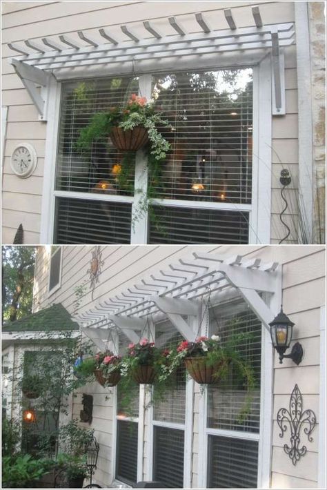 Window Pergolas, Outdoor Window Decor, Window Trellises, Exterior Window, Window Architecture, Shade House, Cheap Pergola, Window Awnings, Covered Pergola