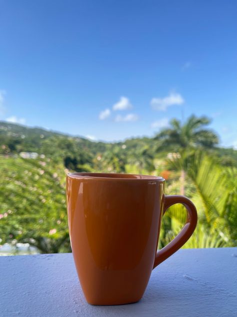 Early morning coffee in Puerto Rico Puerto Rico Coffee, Early Morning Coffee, Good Morning Coffee, Moscow Mule Mugs, On Vacation, Early Morning, Palm Tree, Morning Coffee, Palm Trees