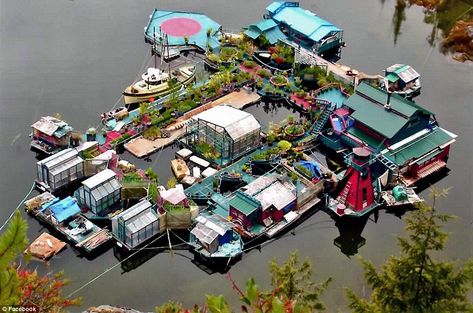 Freedom Cove - an off-the-grid ecohome floating island Wooden Pathway, Floating Architecture, Unusual Homes, Homestead Survival, Floating House, Island Home, Off Grid Living, Off The Grid, Vancouver Island