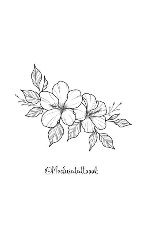 Hibiscus flower drawing