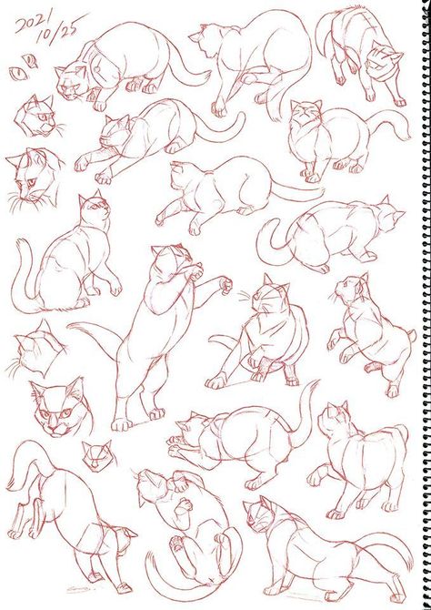 Feline Art Reference, Cat Sketch Poses, Pouncing Cat Drawing, Cat Art Poses, Dynamic Cat Poses Drawing, Cat Knocking Things Over Drawing, Cat Action Poses, Cats Poses Reference, Cat Body Reference