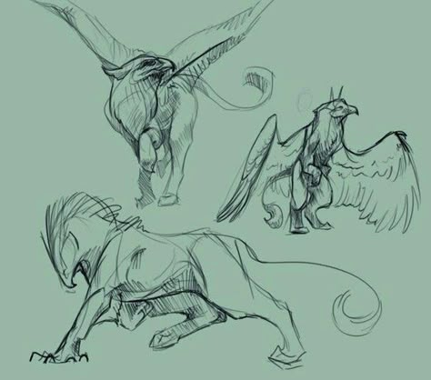 Sketches Of Animals, Dragon Poses, Dragon Sketch, Draw Animals, Favorite Subject, Creature Drawings, Desenho Tattoo, Fantasy Creatures Art, Mythical Creatures Art