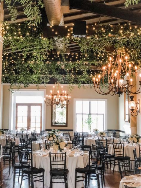 Hanging Lights With Greenery, Wedding Ceiling Decorations Greenery, Wedding Ceiling Lights And Greenery, Greenery And Lights Ceiling Wedding, Greenery Lights Wedding, Greenery And Fairy Lights Wedding, Greenery And Twinkle Lights Wedding, Beam Decoration Ideas Wedding, Greenery With Fairy Lights