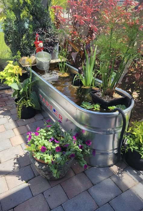 Galvanised Water Tank Ideas, Stock Tank Water Garden, Tin Bath Pond, Water Trough Pond Ideas, Trough Pond Ideas, Stock Tank Koi Pond, Stock Tank Fish Pond, Container Fish Pond, Mini Pond Ideas