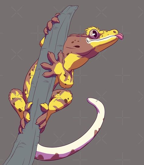 Gecko Drawing Reference, Leopard Gecko Drawing, Pet Gecko, Reptile Art, Crested Gecko Drawing Easy, Reptile Drawings, Crested Gecko Drawing, Gecko Drawing, Gecko Art