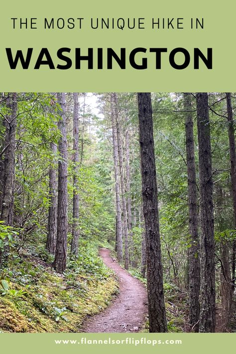 The Tubal caine trail in washington state is a very unique hike. Read more to see where it leads! Pnw Hikes, Tubal Cain, Washington Camping, Pnw Hiking, Washington Hiking, Washington Things To Do, Fun Vacations, Washington Trip, Washington State Hikes