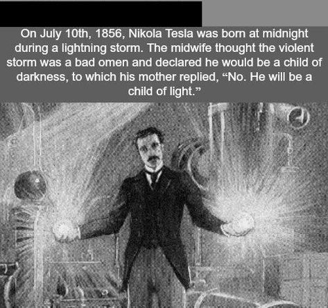 Nikola Tesla Birthday, Nicola Tesla, Nicolas Tesla, Facts Funny, Creepy Facts, Fun Image, Random Facts, Visual Inspiration, Nikola Tesla