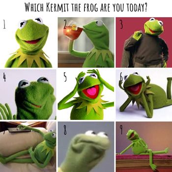 Which One Are You Feeling Today Meme, Meme Mood Check In, Attendance Questions High School, Social Emotional Check In, How Are You Doing Today Check In, Which Mood Are You Today, Sel Check In Pictures, Mood Meter Classroom, Mood Check In