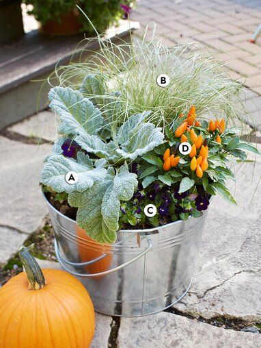 autumnal-textures-9fb22577 Landscape Planters, Ornamental Peppers, Salvia Argentea, Fall Container Plants, Flowering Kale, Licorice Plant, Spooky Autumn, Fall Container Gardens, Winter Sets