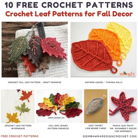 Get ready for fall with these free crochet leaf patterns! 🍂 Perfect for decor, coasters, and more. #Crochet #FreePattern #FallDecor Crochet Fall Leaves, Crochet Leaf Free Pattern, Crochet Ornaments Free Pattern, Moogly Crochet, Crochet Fall Decor, Autumn Projects, Crochet Leaf, Crochet Leaf Patterns, Fall Crochet