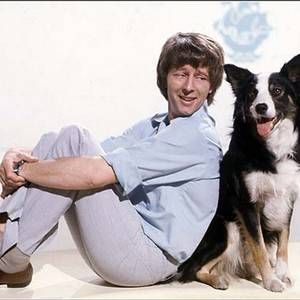 Are collies truly top dogs? As a new study praises their virtues, experts warn they aren't suitable pets for everyone Blue Peter Presenters, Childrens Tv, Blue Peter, Childhood Memories 70s, Golden Oldies, English History, Kids Tv, Retro Tv, Happy Memories