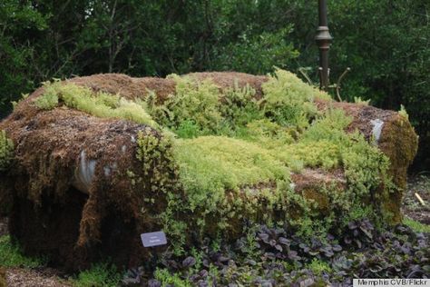 a bed of moss? Moss Couch, Moss Furniture, Moss Gardens, Moss Graffiti, Gardening Indoors, Lost Gardens Of Heligan, Bottle Trees, Lost Garden, Growing Greens