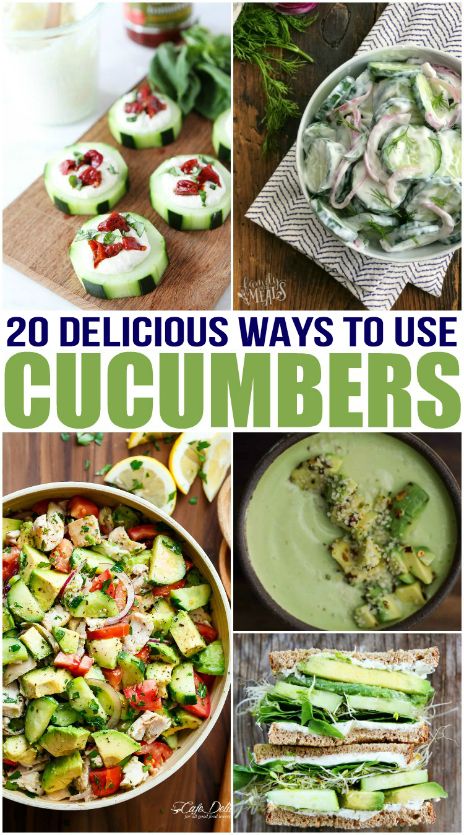 20 Delicious Cucumber Recipes Cucumber Dishes Dinners, Cucumber Snacks Easy, Food With Cucumbers, Lunch With Cucumber, What To Eat With Cucumbers, Dishes With Cucumbers, Cucumber Toppings, Dinners With Cucumbers, Eat Fresh Recipes