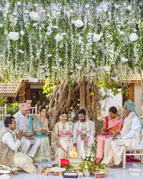 #DecorHacks: Here's How You Can Utilise Trees At Your Wedding Venue! Green Decor Ideas, Goa Wedding, Wedding Background Images, Wedding Home Decoration, Pink Photography, Mandap Decor, Most Beautiful Images, Banyan Tree, Winter Mornings