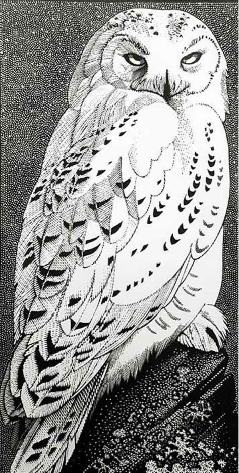 Little Bird Drawing, Snowy Owl Tattoo, Enchanted Animals, Snowy Owl Art, Bird Sketches, Embroidery Bird, Owl Sketch, Owl Drawing, Magic Runes