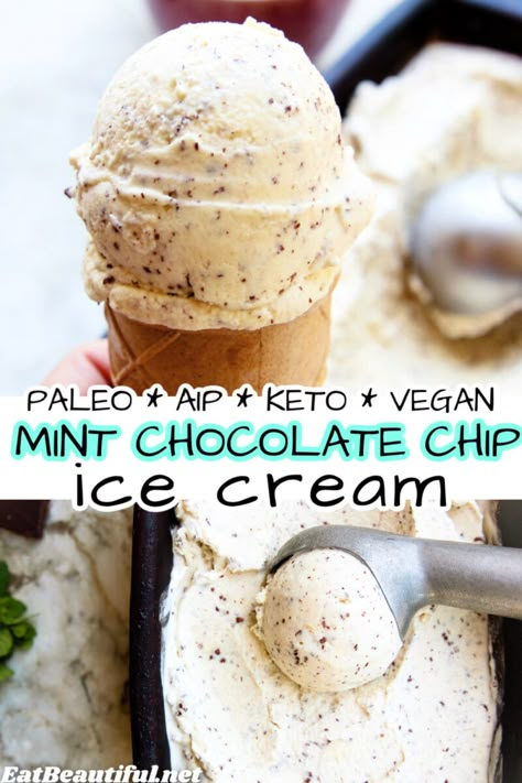 Keto Mint Chocolate Chip Ice Cream, Paleo Ice Cream Recipes Machine, Dairy Free Mint Chocolate Chip Ice Cream, Aip Dairy Free Recipes, Vegan Mint Chocolate Chip Ice Cream, Dairy Free Peppermint Ice Cream, Diy Dairy Free Ice Cream, Aip Ice Cream Recipes, Paleo Ice Cream Recipes