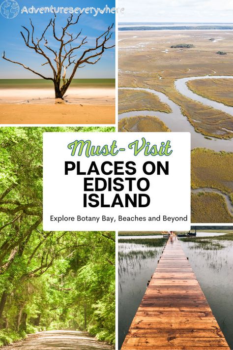 There are so many things to do on Edisto Island in South Carolina, including botany bay, chasing dolphins, and eating some great local food! Edisto Island South Carolina, Edisto Beach, Edisto Island, Botany Bay, Travel South, Local Food, Botany, Places To Eat, Dolphins