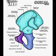 Paola Rios, Medical Terminology Study, Medical Drawings, Medicine Notes, Medicine Studies, Nurse Study Notes, Medical Student Study, Medical Laboratory Science, Medical School Studying