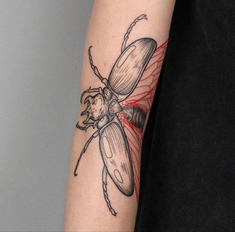 When your arm is extended out you see the inside part of the wings and body, when your arm is closed or folded, it only shows the outer shell. Absolutely amazing & beautiful! Moth Inner Elbow Tattoo, Folding Beetle Tattoo, Folding Moth Tattoo, Folding Tattoo Knee, Knee Fold Tattoo, Bug Elbow Tattoo, Moth Tattoo Inner Elbow, Elbow Beetle Tattoo, Elbow Bug Tattoo