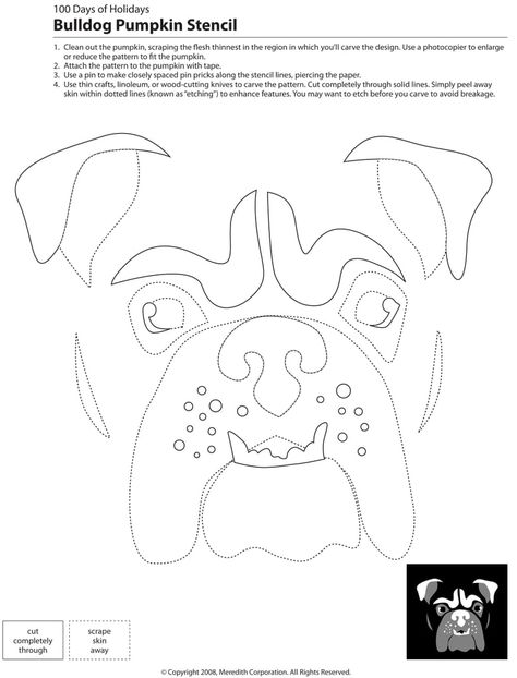 Downloadable Dog Breed Pumpkin Stencils Dog Pumpkin Carving, Bulldog Pumpkin, Dog Stencil, Pumpkin Stencils, Pumpkin Cutouts, Dog Pumpkin, Dog Quilts, Pumpkin Carvings Stencils, Pumpkin Stencil