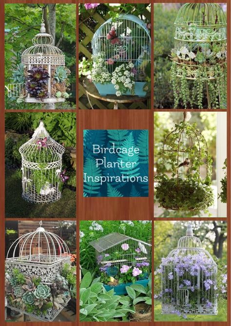 Birdcage Garden Ideas, Bird Cage Garden Ideas, Plants In Birdcage Ideas, Bird Cage Planter Ideas, Birdcage Planter, Vasos Vintage, Succulent Planters, Succulent Garden Diy, Bird Cage Decor