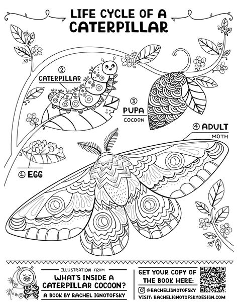 Science Coloring Pages Free Printable, Preschool Science Worksheets, Rachel Ignotofsky, Science Coloring Pages, Caterpillar Cocoon, Educational Coloring Pages, Butterfly Coloring Pages, Elementary School Science, About Butterflies